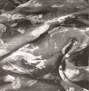 The KVB - Of Desire