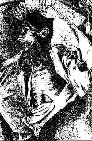 Septicemic Plague - Nervous Naufragii
