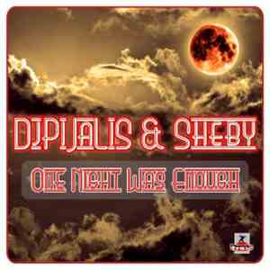 DJ Pijalis & Sheby - One Night Was Enough