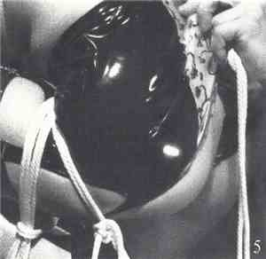 Hal Hutchinson - For Extreme Cinema 5