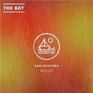 Sam Gouthro - Wavves