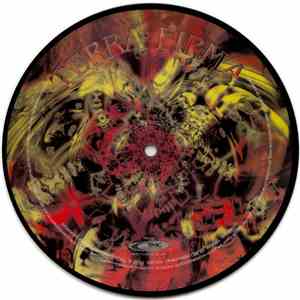 Terra Firma  - Spiral Guru