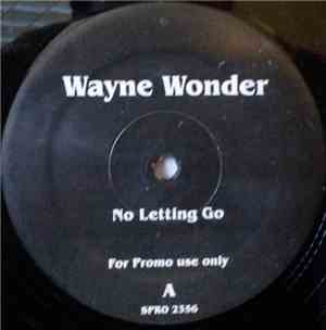 Wayne Wonder / Mungal Feat. Caron Wheeler - No Letting Go / Fallin' For Ano ...