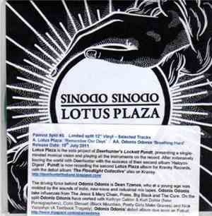 Lotus Plaza / Odonis Odonis - Lotus Plaza / Odonis Odonis