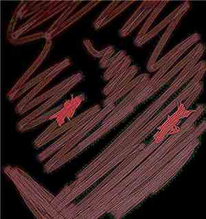 Harmonic Decay - The Background Ringing Of The Demonic Whales
