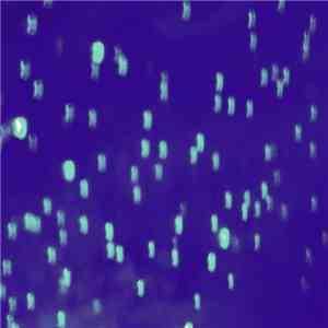 Arc of the Hunter - No. XXVII