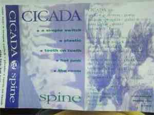 Cicada  - Spine