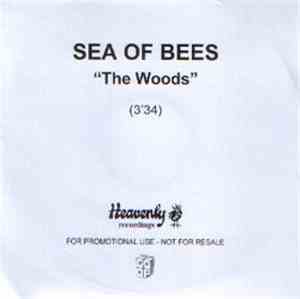 Sea Of Bees - The Woods