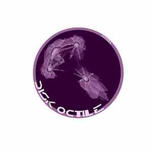 Au:cell - Disk Octile