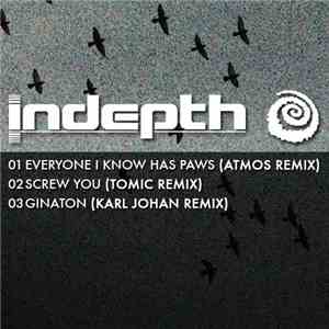 Indepth - The Remixes EP