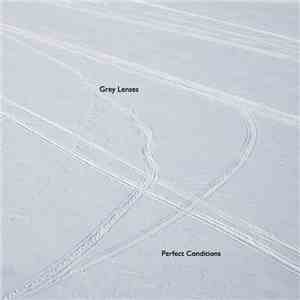 Grey Lenses - Perfect Conditions