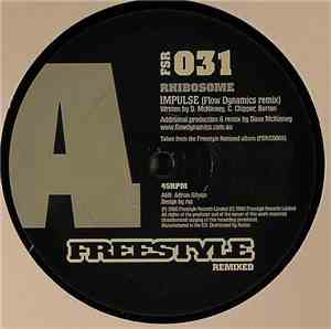 Rhibosome / Reggie Watts - Impulse / Movin' On