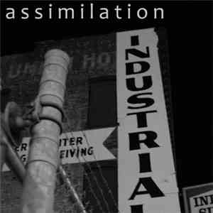 Assimilation  - Untitled