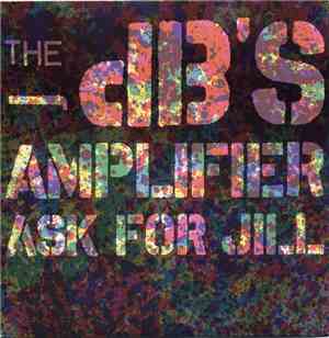 The dB's - Amplifier
