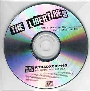 The Libertines - Can't Stand Me Now