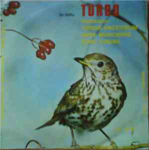 Tordo - Tordo (Bottaccio), Turdus Ericetorum, Grive Musicienne, Song Thrush ...
