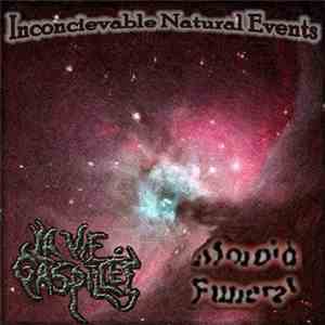 La Vie Gaspillée / Morbid Funeral  - Inconcievable Natural Events