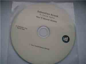 Sebastian Bronk Ft. David Taylor  - You'll Never Know (Soul Cartel Remix)