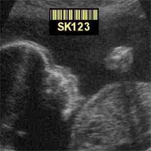 SK123 - Shuffle EP