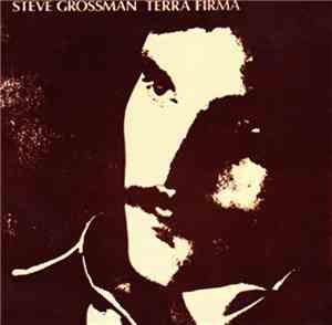 Steve Grossman - Terra Firma