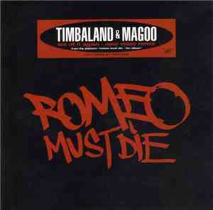Timbaland & Magoo - We At It Again