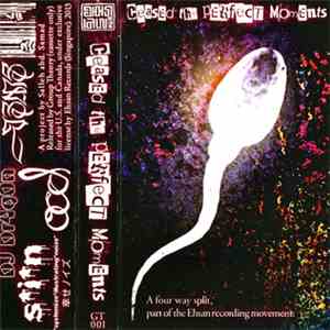 Various - Ceased, The Perfect Moments...
