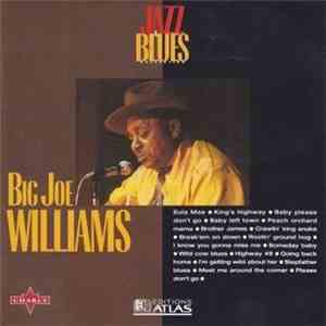 Big Joe Williams - Jazz & Blues Collection
