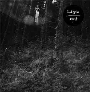 Sons Of Woods - In Disguise / Spirit