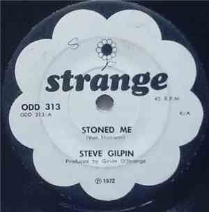 Steve Gilpin / The Friends Of Goose Creek - Stoned Me