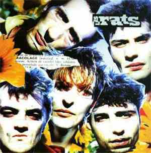 Les Rats - Racolage