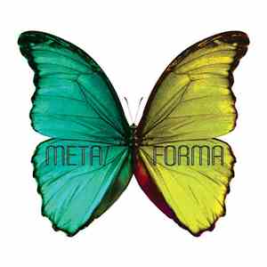 Shannon Curtis - Metaforma