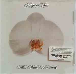 Kings Of Leon - Aha Shake Heartbreak