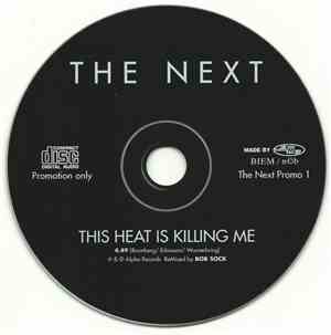 The Next  - This Heat Is Killing Me