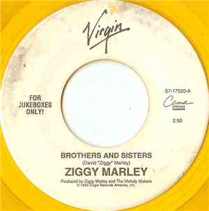 Ziggy Marley - Brothers And Sisters
