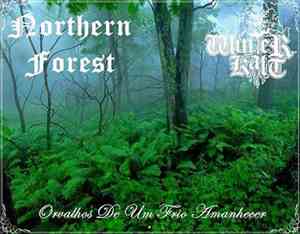 Northern Forest, Winter Kalt - Orvalhos De Um Frio Amanhecer