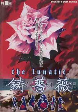 Shinji Hosoe - the lunatic: IBARA REMIX TRACKS