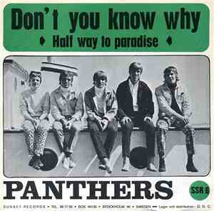 The Panthers  - Don't You Know Why / Half Way To Paradise
