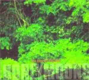 Honeymoons - This Coherent Excitation