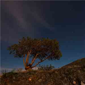 Tdel - The Overlook