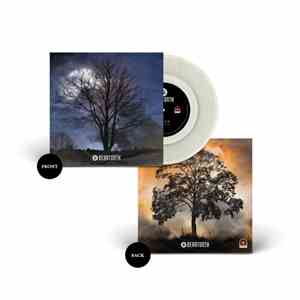 Beartooth - 7