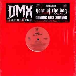DMX - We In Here