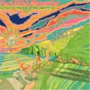 The USA Is A Monster - Sunset At The End Of The Industrial Age