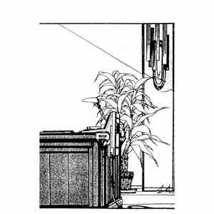 Tourist Gaze - Traditional