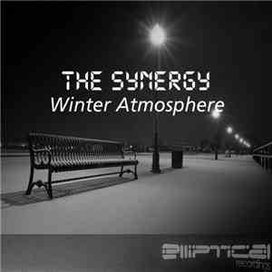 The Synergy - Winter Atmosphere