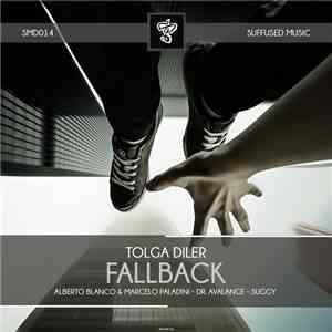 Tolga Diler - Fallback