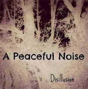 A Peaceful Noise - Disillusion