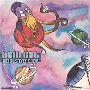 Acid Cat  - 808 State EP