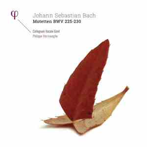 Johann Sebastian Bach, Collegium Vocale, Philippe Herreweghe - Motetten BWV ...