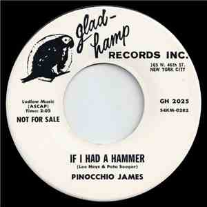 Pinocchio James - If I Had A Hammer