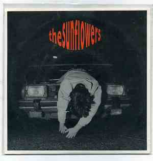 The Sunflowers - Teenage Death